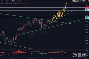 爱游戏官方入口-SHIB冲破22.83美元关口，多头行情是否如期而至？，震惊市场