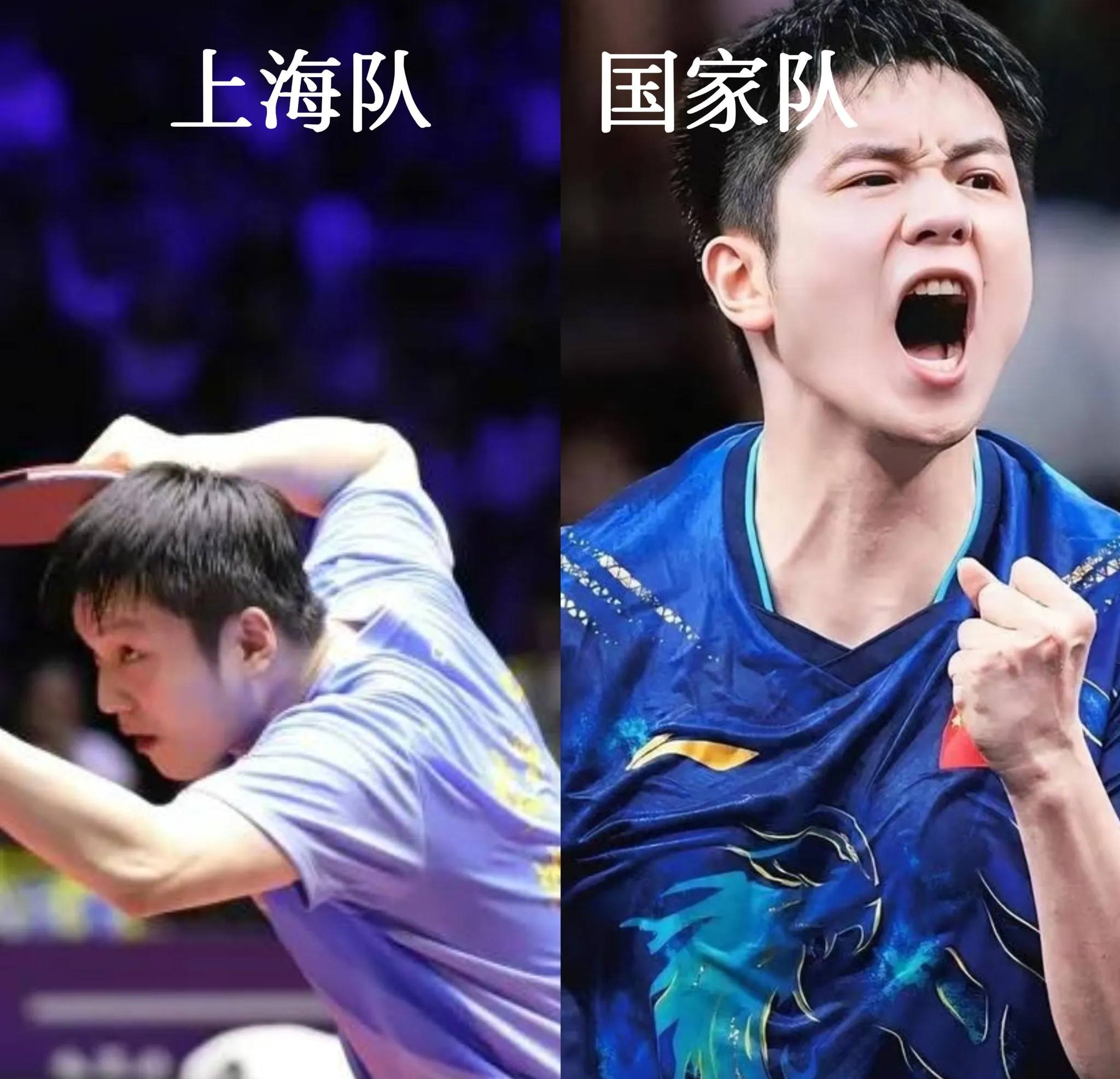 包含排球预选赛上演强强对话，江南霹雳队逆转东海天虎队，团队配合流畅；豪门底蕴再次显现的词条